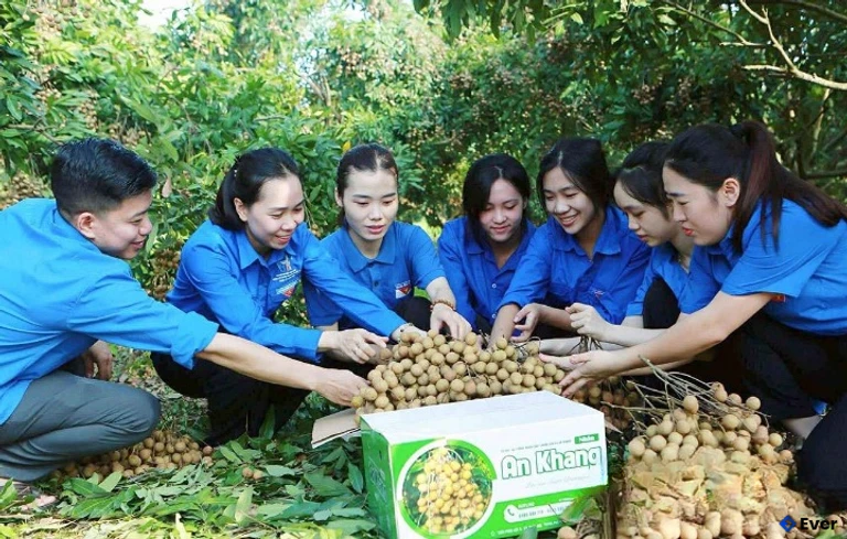 Thanh niên phường An Tường hỗ trợ nông dân tiêu thụ nông sản của địa phương.