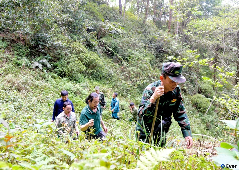 Tổ bảo vệ rừng cộng đồng thôn Bản Phùng, xã Lao Chải cùng Ban Quản lý rừng đặc dụng Tây Côn Lĩnh đi tuần tra rừng
