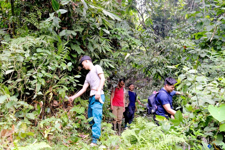 Tổ bảo vệ rừng thôn Khun, xã Bằng Lang tham gia tuần rừng.