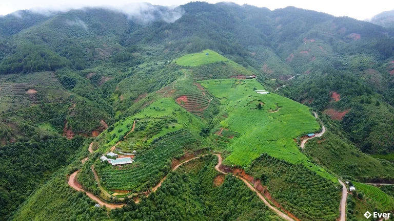 Toàn cảnh khu trang trại su su của anh Phạm Quang Thọ ở thôn Háng Gàng, xã Lao Chải