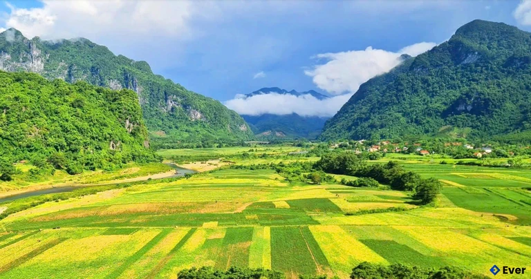 Tổng diện tích gieo trồng cây hàng năm trên địa bàn xã Trường Sơn đạt trên 896ha