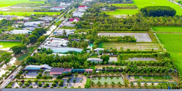 Tổng quan phường Lý Văn Lâm sau sáp nhập