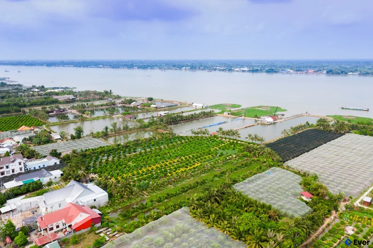 Tổng quan phường Tân Lộc sau sáp nhập