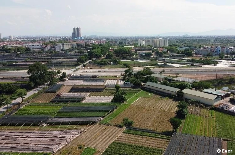 Tổng quan phường Tây Tựu sau sáp nhập