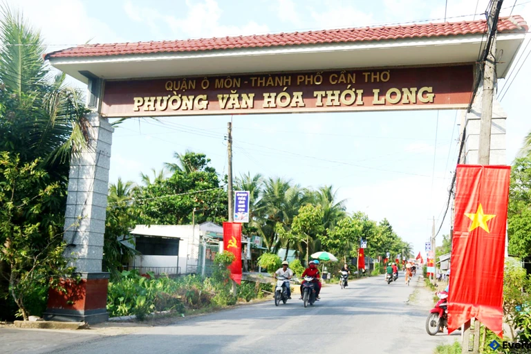 Tổng quan phường Thới Long sau sáp nhập