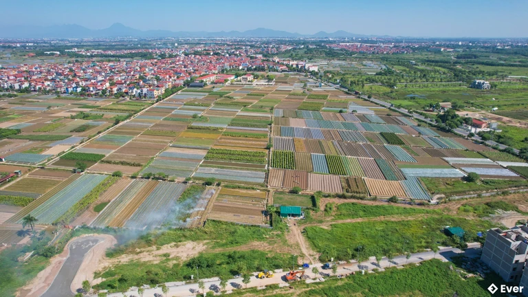 Tổng quan xã Mê Linh sau sáp nhập