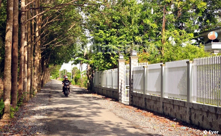 Tổng quan xã Ngũ Lạc sau sáp nhập