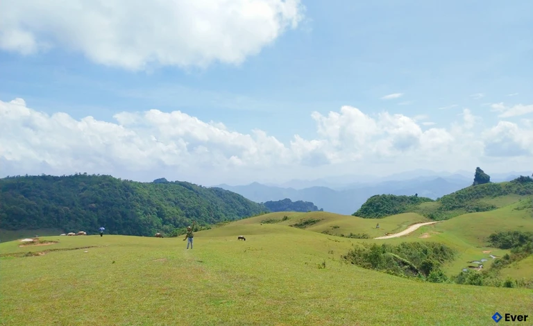 Tổng quan xã Phan Thanh, tỉnh Cao Bằng sau sáp nhập