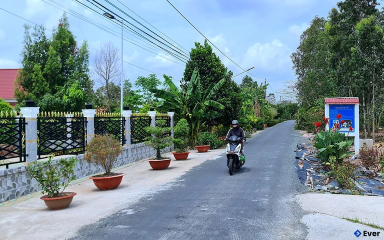 Tổng quan xã Phú Mỹ sau sáp nhập