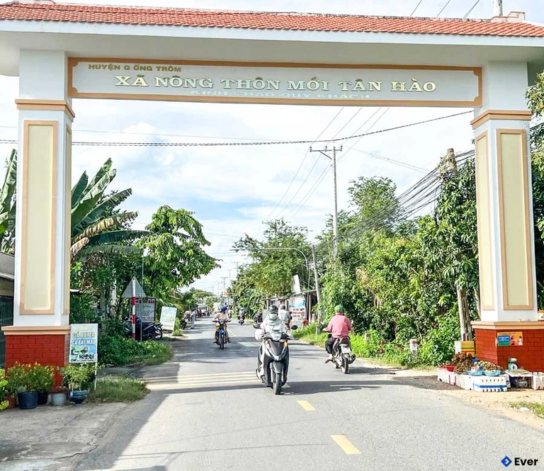 Tổng quan xã Tân Hào sau sáp nhập