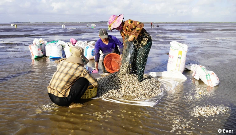 Tổng quan xã Thới Thuận sau sáp nhập