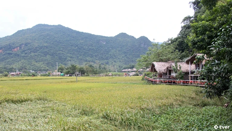 Từ Little Mai Chau Homestay nhìn về phía trước là khung cảnh yên bình