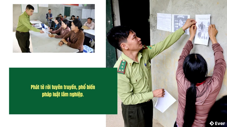 Tuyên truyền và phổ biến pháp luật lâm nghiệp tại xã Lùng Phình