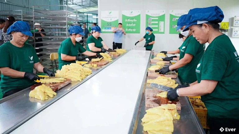 Ứng dụng khoa học - công nghệ phát triển doanh nghiệp nông thôn hiện đại