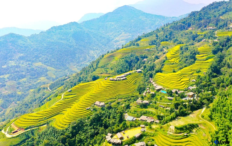 Vẻ đẹp của ruộng bậc thang Hoàng Su Phì