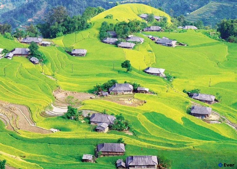 Vẻ đẹp nên thơ của xã Bản Máy trong mùa lúa chín.