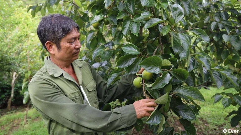 Xã Bình Thuận hướng đến việc thúc đẩy nông sản địa phương có giá trị cao