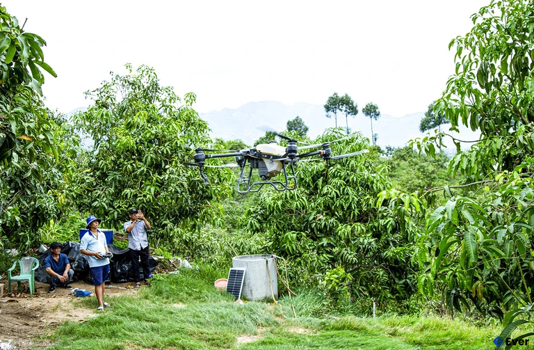 Xã Cam Hiệp áp dụng công nghệ vào sản xuất nông nghiệp