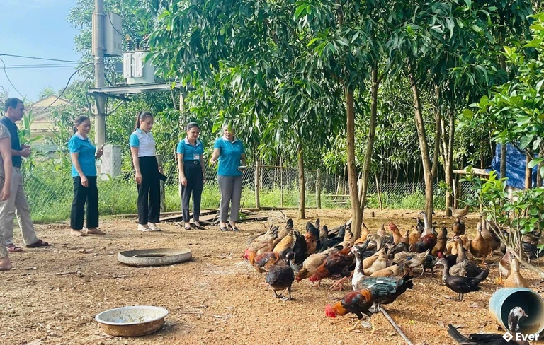 Xã Cam Phục trong công cuộc phát triển lợi thế nông nghiệp và chăn nuôi vốn có