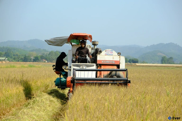 Xã Cát Tiên 3 xác định nông nghiệp vẫn là trụ cột kinh tế