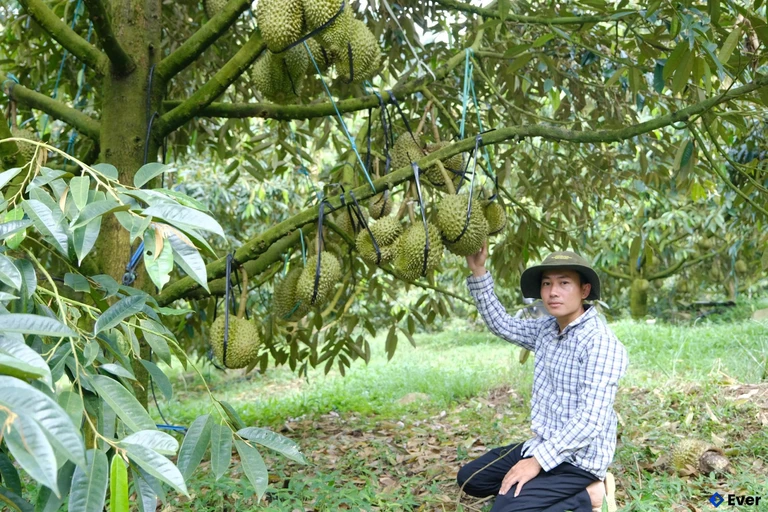 Xã Đạ Tẻh 2 xác định nông nghiệp là trụ cột chính