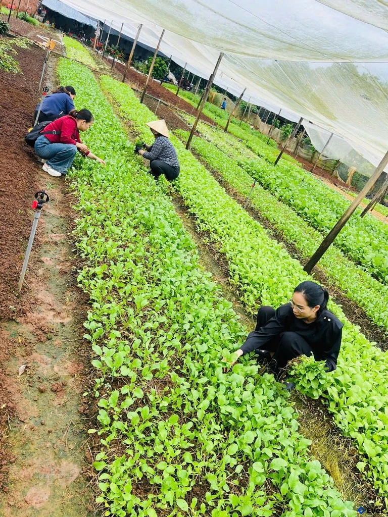 Xã Đăk Ơ hướng đến mô hình du lịch trải nghiệm