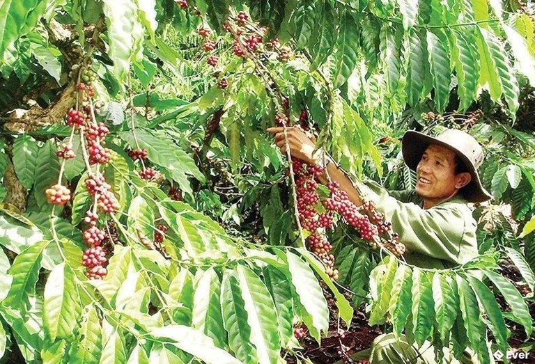 Xã Đức Lập hướng đến địa phương phát triển kinh tế ổn định