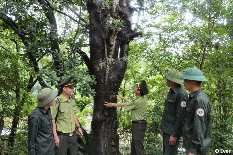 Xã Hải Sơn thực hiện đề án trồng rừng trải nghiệm trong tương lai