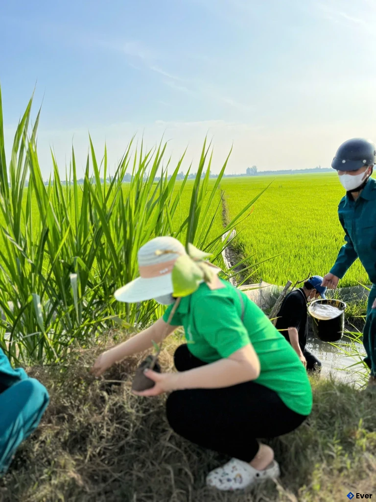 Xã Hòa Lạc tiếp tục duy trì ổn định các vùng sản xuất lúa trọng điểm