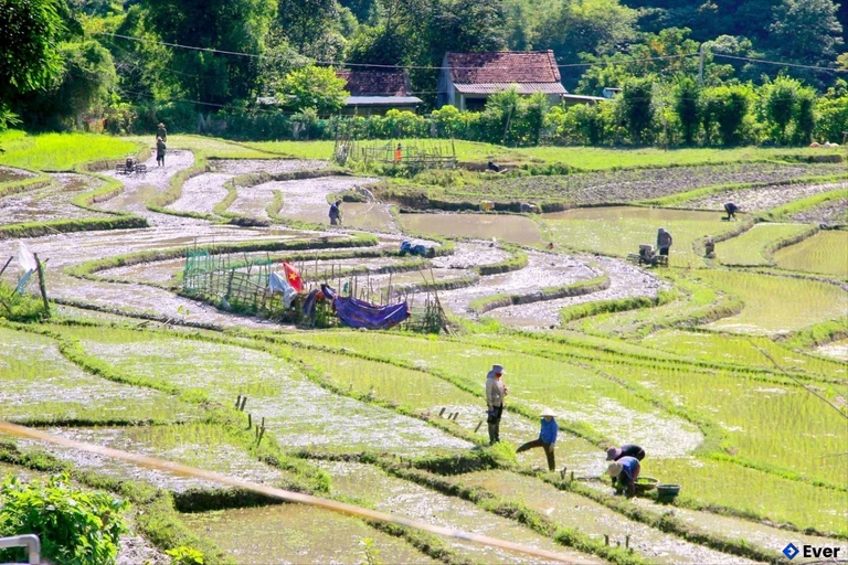 Xã Hữu Kiệm hướng tới địa phương có nền nông - lâm nghiệp hiện đại