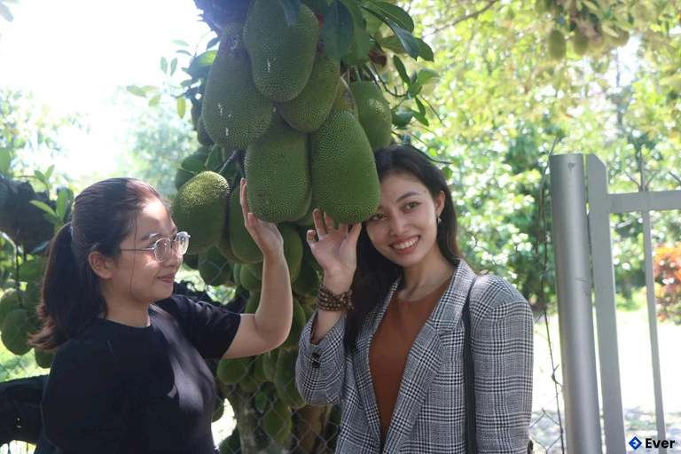 Xã Lâm Sơn tập trung mở rộng các mô hình vườn cây ăn quả đặc sản