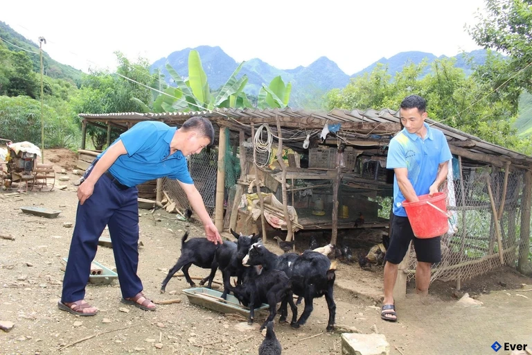 Xã Long Hẹ đặt mục tiêu xóa đói, giảm nghèo cho người dân