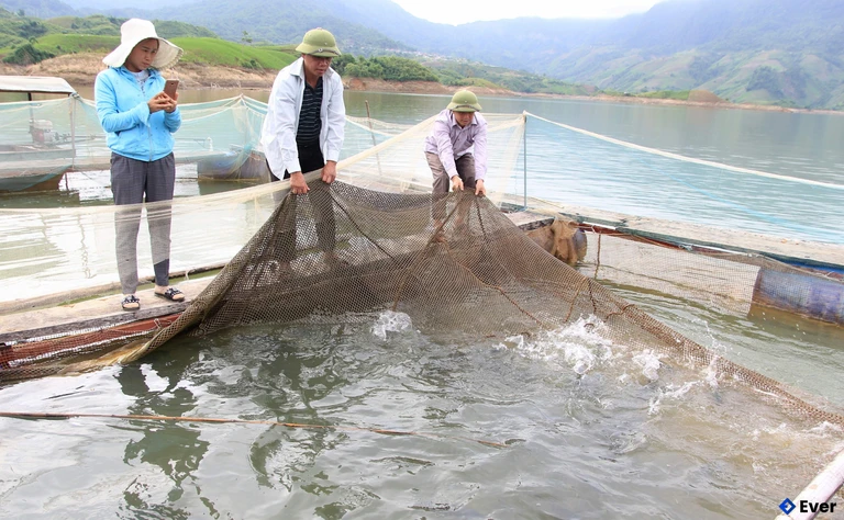 Xã Mường Khiêng định hướng trở thành khu vực nuôi trồng thủy sản theo hướng bền vững