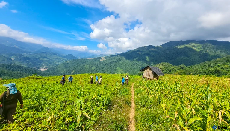 Xã Nậm Cắn định hướng phát triển kinh tế - xã hội theo hướng bền vững