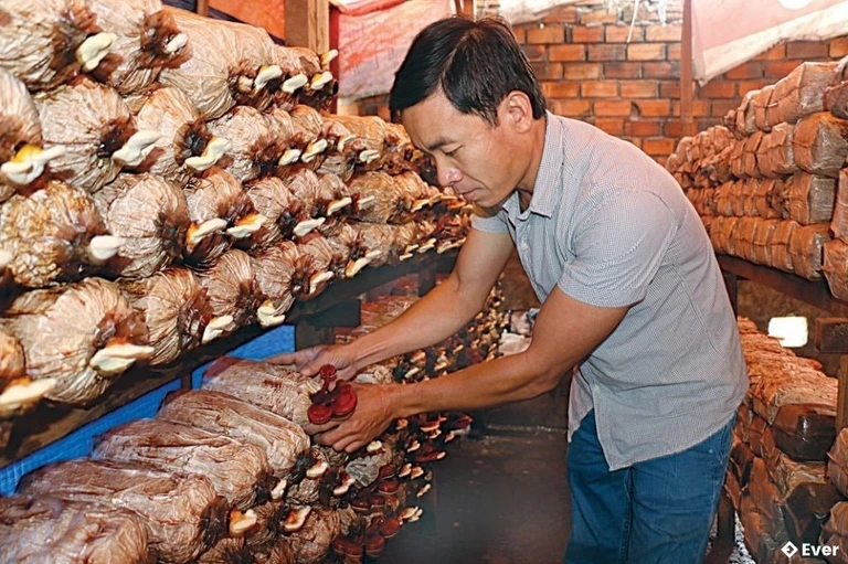 Xã Nam Đà đặt mục tiêu nâng cao thu nhập người dân trong năm