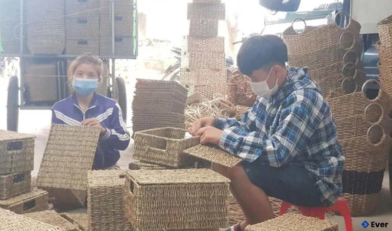 Xã Nga Sơn lựa chọn sản phẩm thủ công mỹ nghệ từ cây cói để phát triển thành sản phẩm OCOP chủ lực.