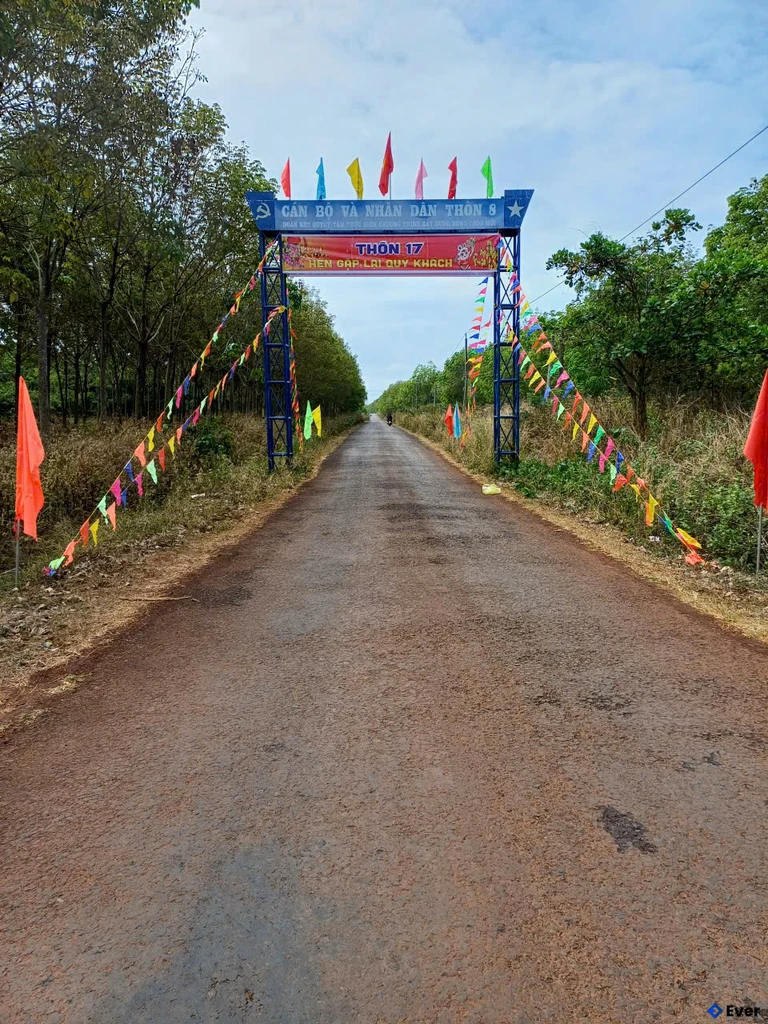 Xã Nghĩa Trung định hướng quy hoạch các khu dân cư tập trung chủ yếu dọc theo khu vực trung tâm xã, tạo thuận lợi cho sinh hoạt