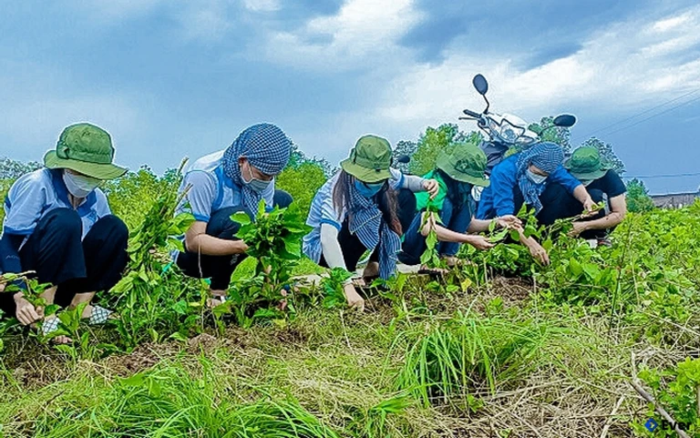 Xã Nguyễn Việt Khái cán đích với mục tiêu nông thông mới