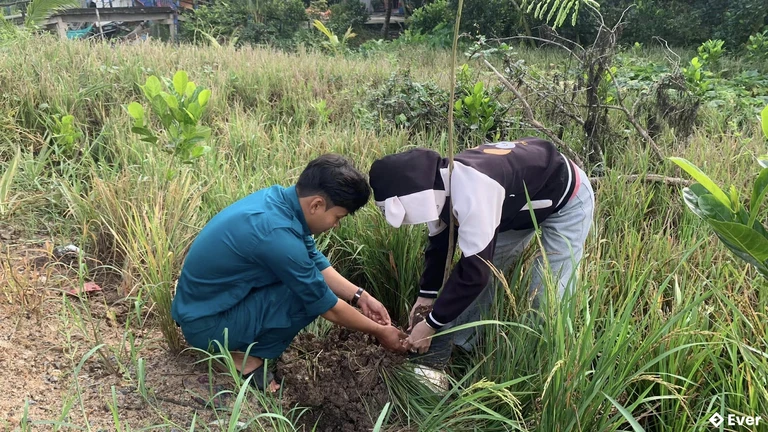 Xã Nhơn Hòa Lập được phân chia thành nhiều nhóm chức năng nhằm phục vụ phát triển đa ngành