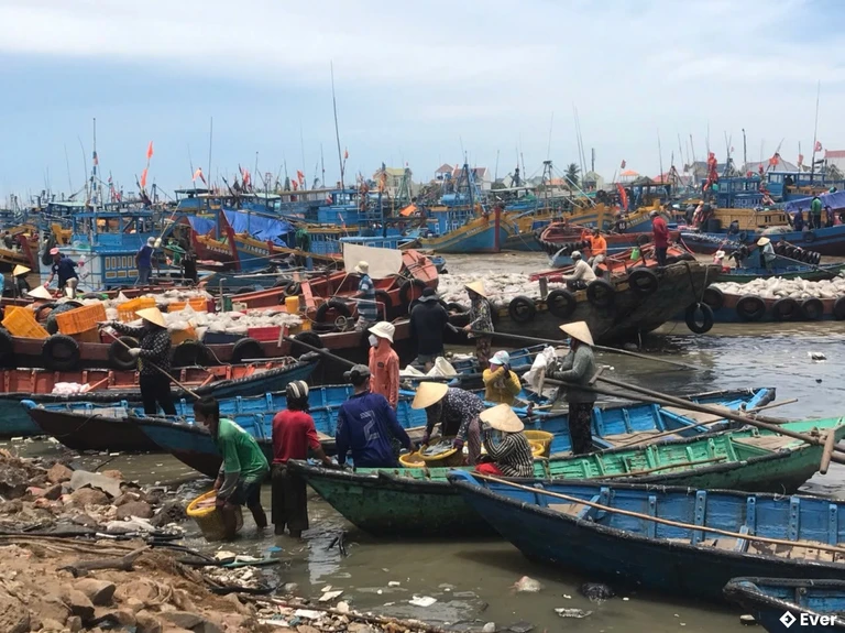 Xã Phan Rí Cửa xem thủy sản là ngành kinh tế mũi nhọn