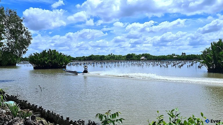 Xã Phú Mỹ trong công cuộc quy hoạch và phát triển dựa trên lợi thế về sinh thái khu vực