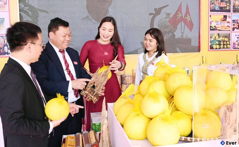 Xã Phúc Trạch đã phát huy, biến lợi thế sản phẩm đặc trưng thành sản phẩm OCOP