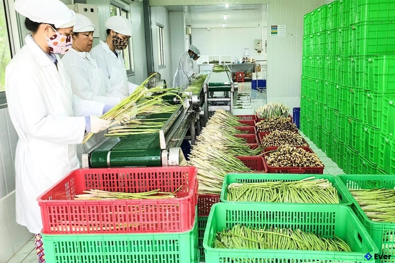 Xã Phước Dinh đẩy mạnh tăng trưởng kinh tế trong năm