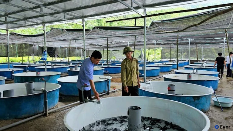 Xã Quảng Tân chú trọng nâng cao thu nhập bình quân đầu người cho người dân