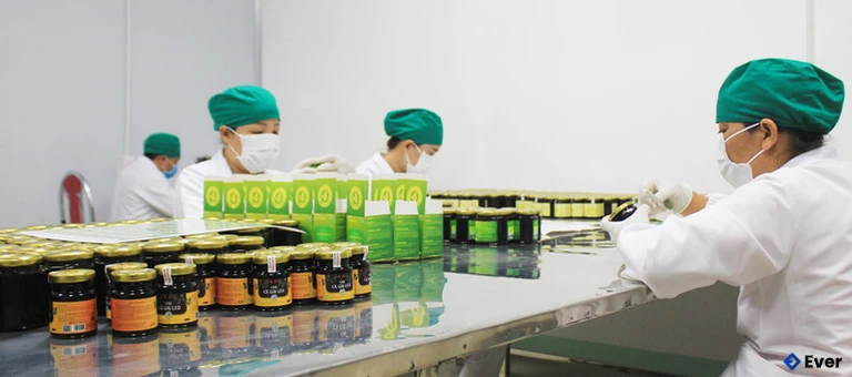 Xã Quỳ Hợp chú trọng việc ứng dụng công nghệ cao vào phát triển kinh tế