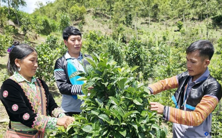 Xã Tà Xùa phát triển kinh tế theo hướng sản xuất hàng hóa gắn với du lịch trải nghiệm