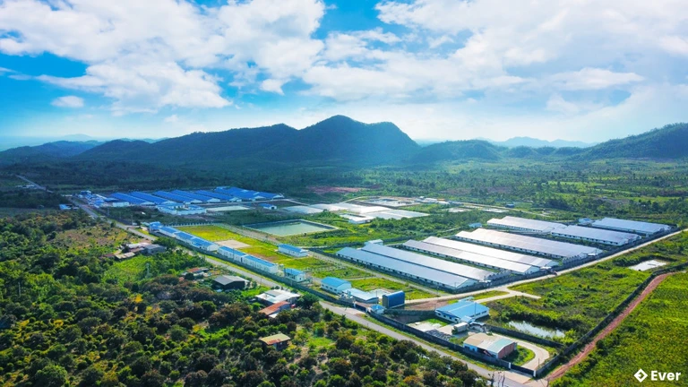 Xã Tân Hội định hướng phát triển các khu sản xuất tập trung, khu công nghiệp và khu đô thị mới trong dài hạn