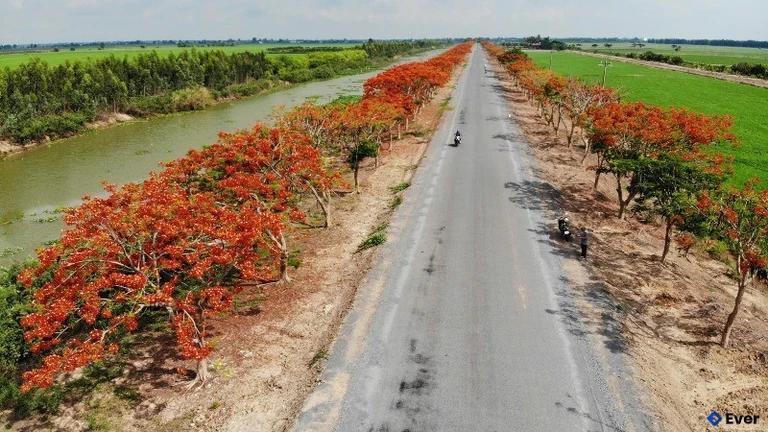 Xã Tân Hưng tiếp tục chú trọng giữ gìn quỹ đất nông nghiệp