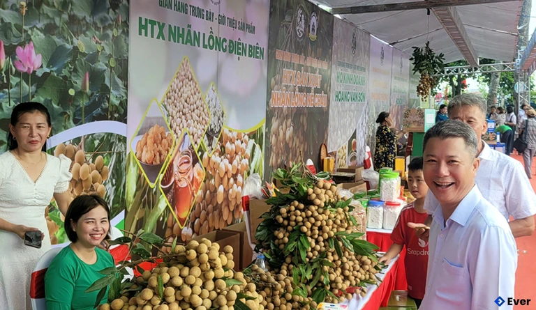 Xã Tân Hưng tổ chức hoạt động xúc tiến tiêu thụ nhãn năm 2025.