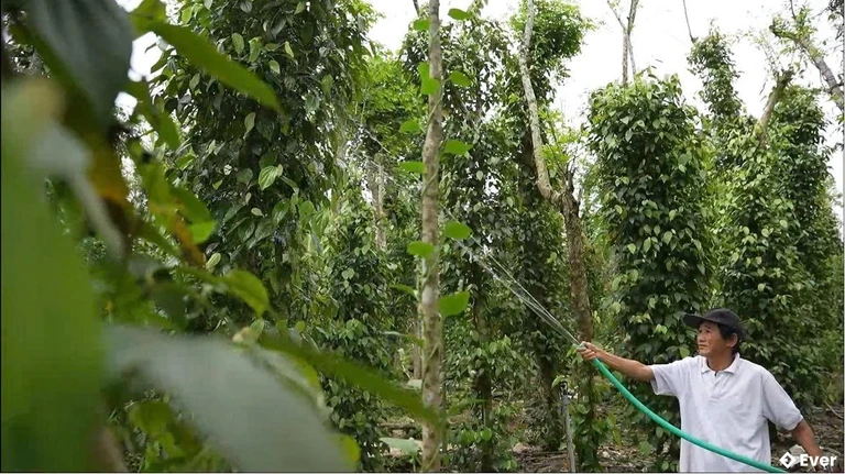 Xã Tây Hồ với mục tiêu cuối cùng là tạo điều kiện cho người dân phát triển sản xuất, nâng cao đời sống